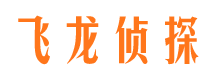 泰来飞龙私家侦探公司